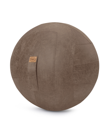 Sitting Ball Frankie