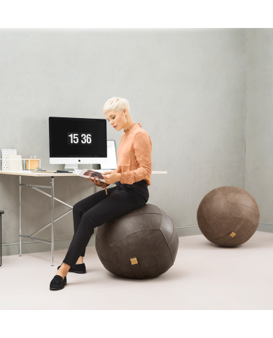 Sitting Ball Frankie
