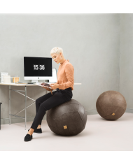 Sitting Ball Frankie