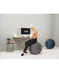 Sitting Ball Samt
