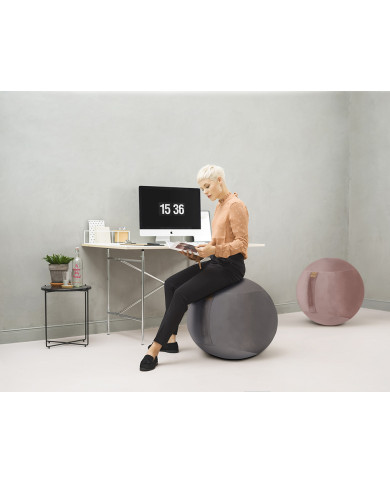 Sitting Ball Samt