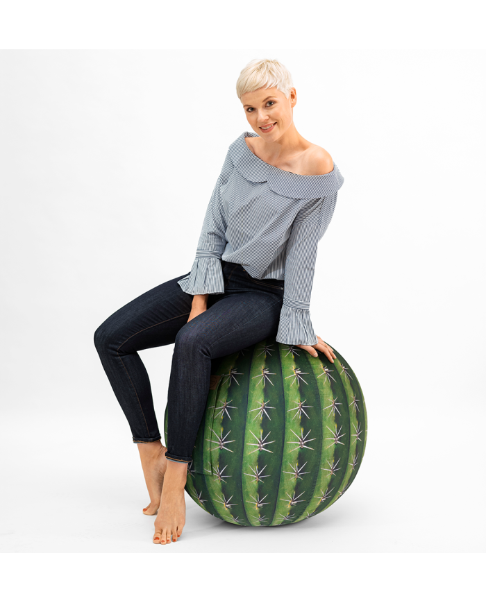 Sitting Ball Kaktus