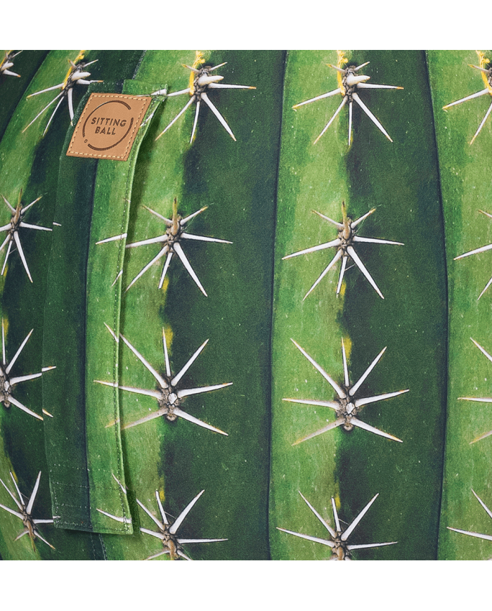 Sitting Ball Kaktus