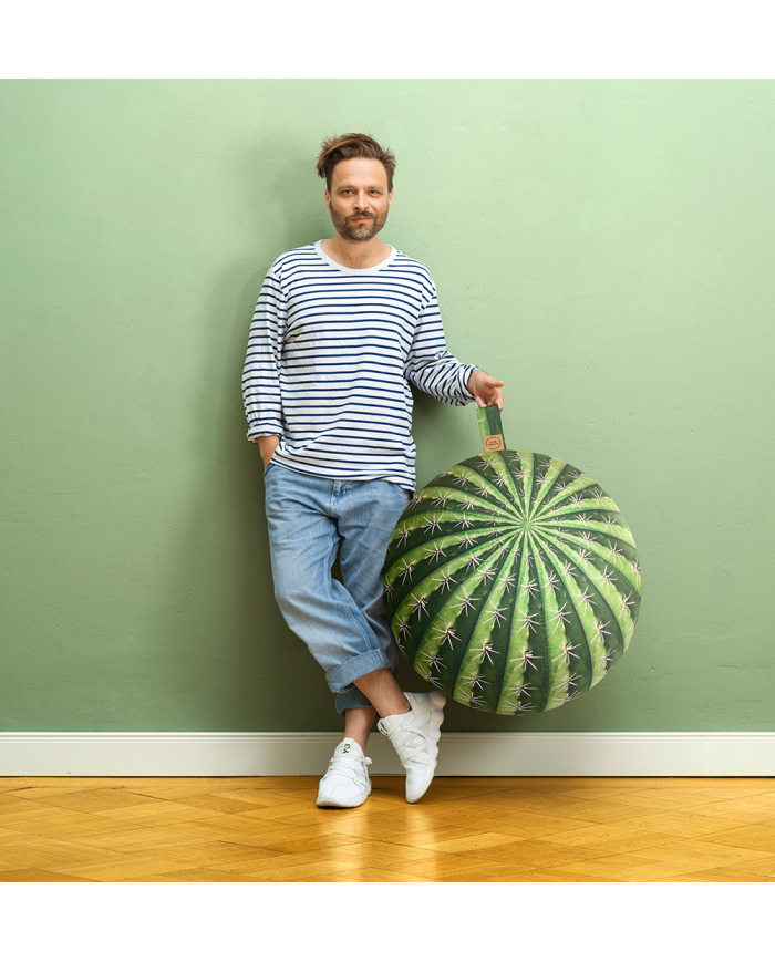 Sitting Ball Kaktus