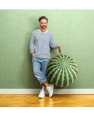 Sitting Ball Kaktus
