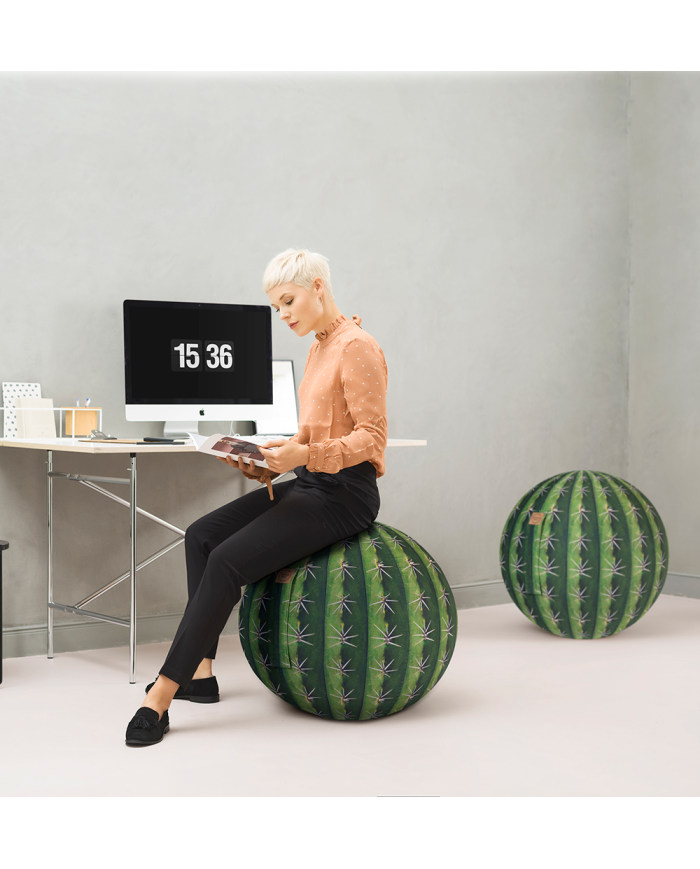 Sitting Ball Kaktus