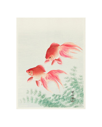 Deux Poissons à Voile