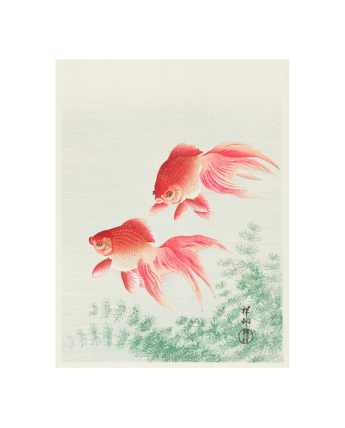 Deux Poissons à Voile